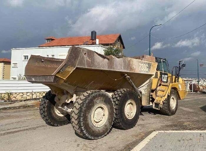 Knickgelenkter
