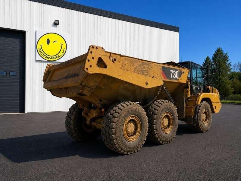 Knickgelenkter