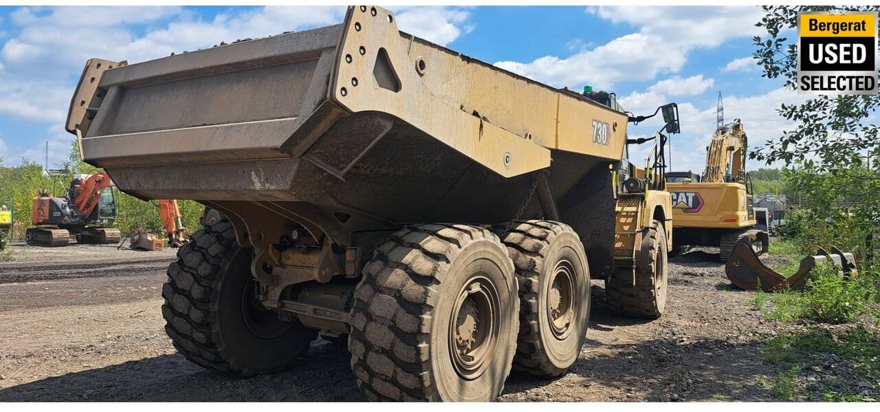 Knickgelenkter