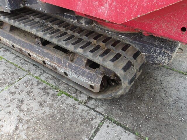 Raupendumper