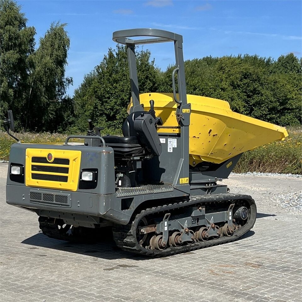Raupendumper