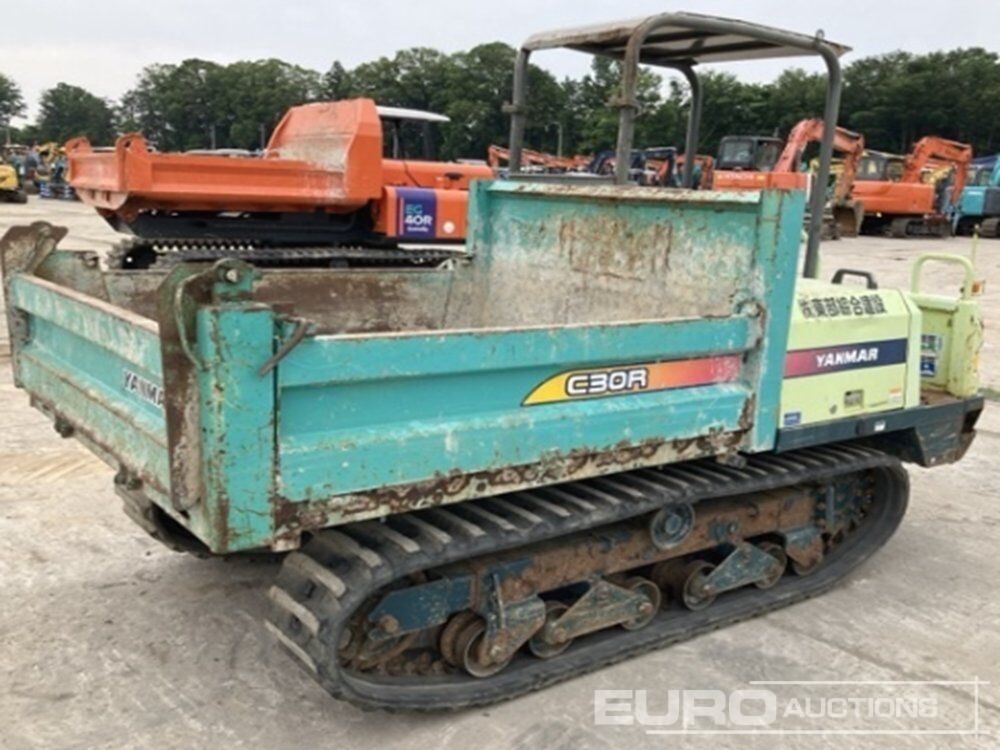 Raupendumper