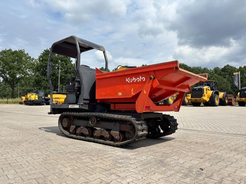 Raupendumper